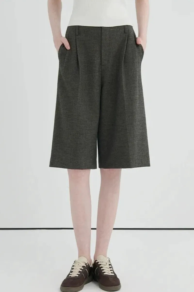 Dark gray high-waisted pleated cropped wide-leg pants